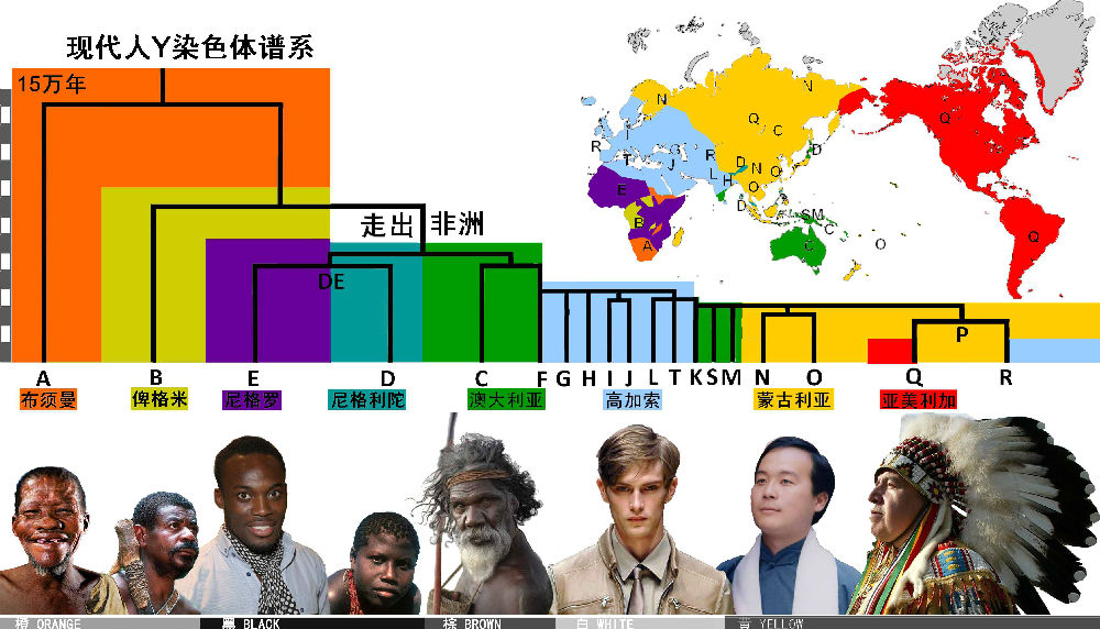 如果人类的基因多样性变成灵长类第一会怎么样