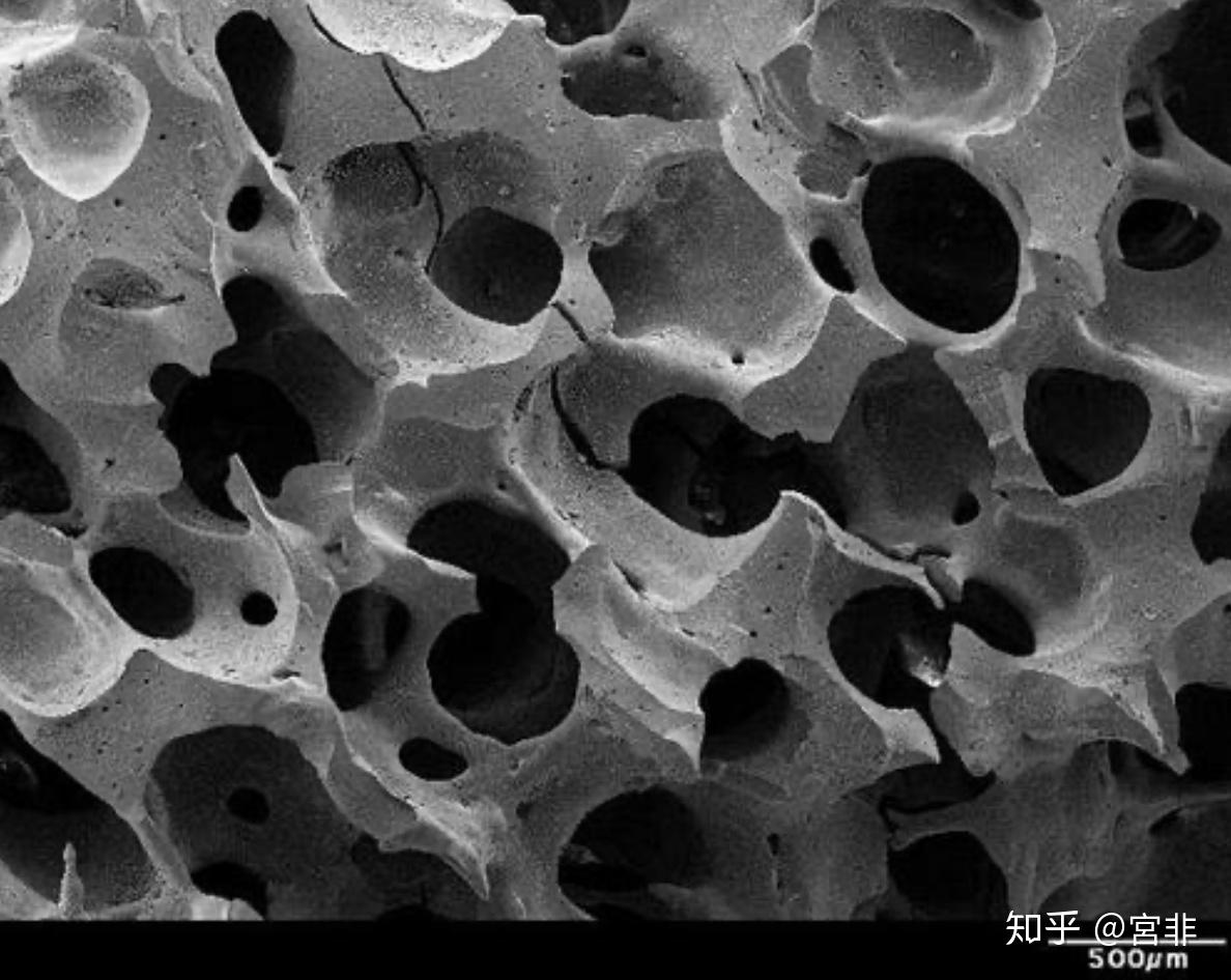 艾丝曼生物玻璃骨能吸收么? - 知乎