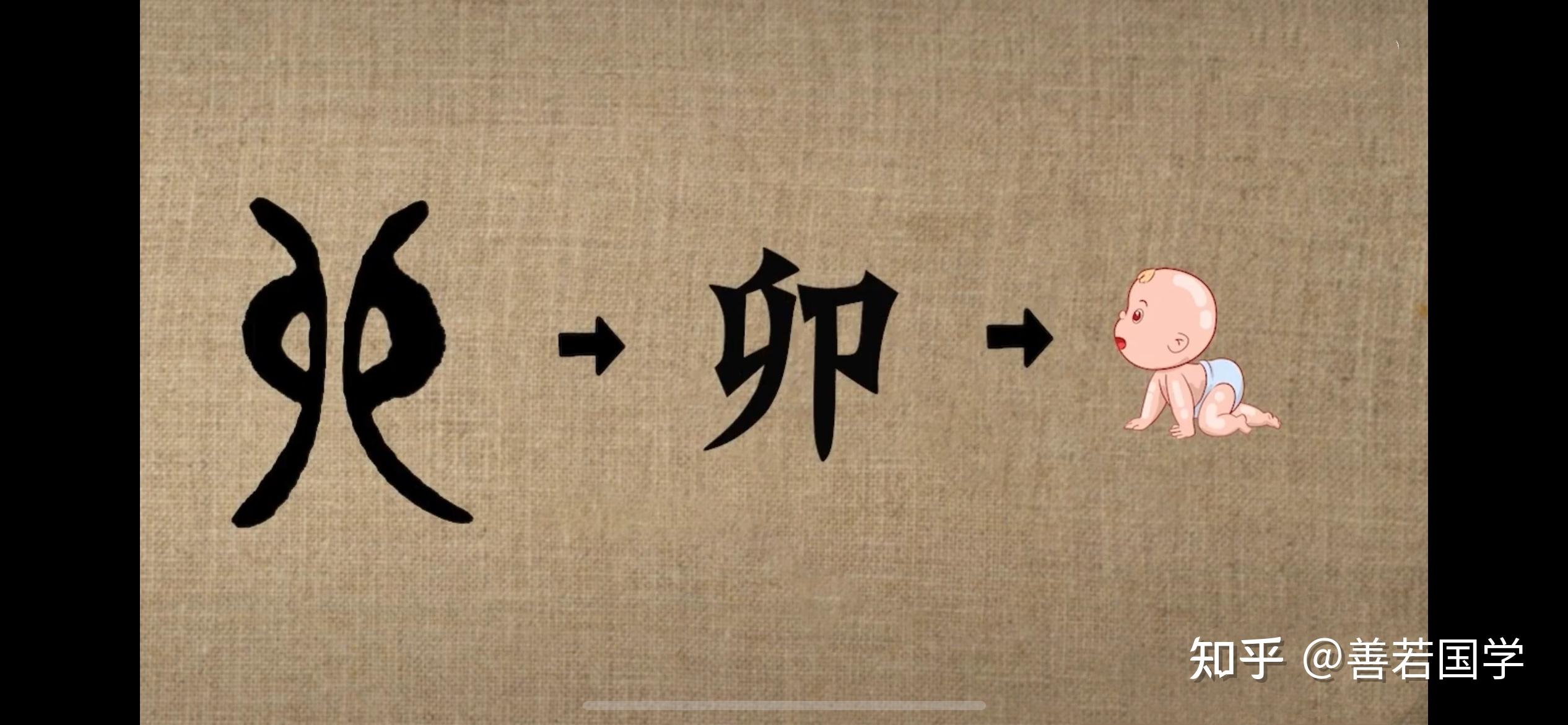 分解十二地支最深刻的解读4(卯) - 知乎