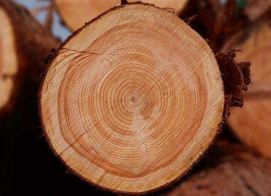 卡伦霍妮的理论特色