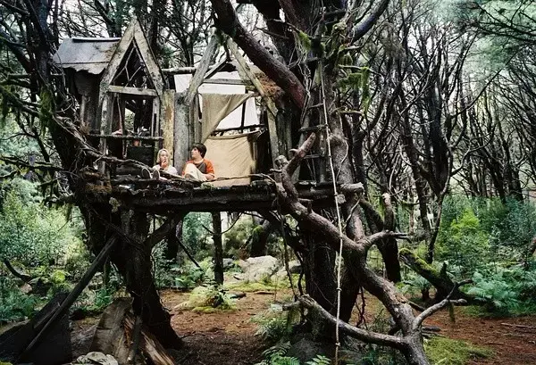 几个少年在树屋中,电影《伴我同行》中,和想象中的奇妙世界的故事.