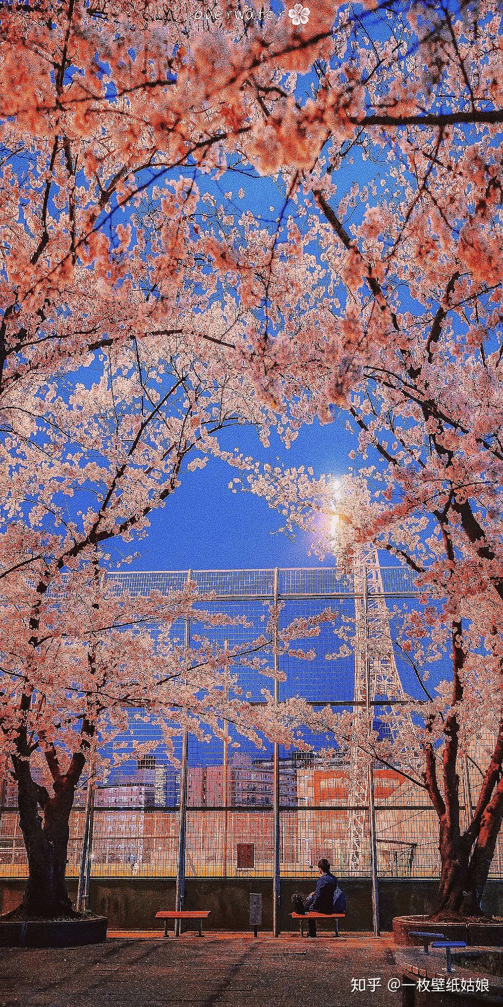 有没有高清微信背景图粉色日系樱花类的