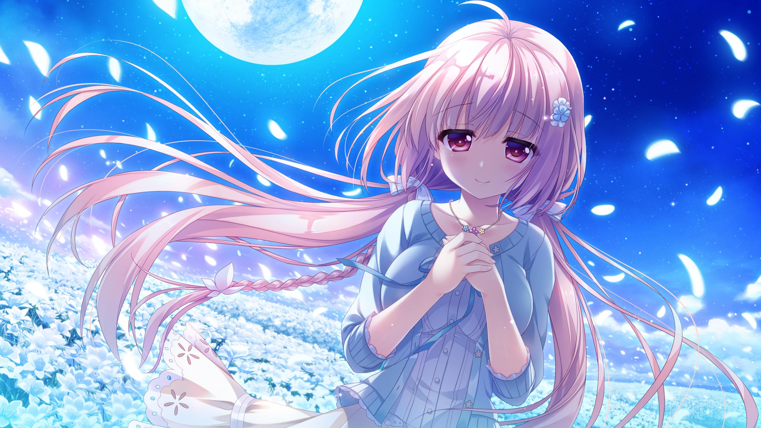 有什么好看的galgame壁纸推荐? - 知乎