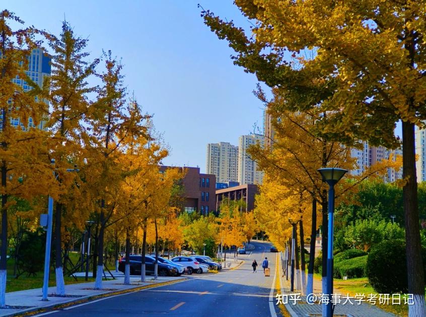 大连海事大学考研有哪些专业容易上岸! - 知乎