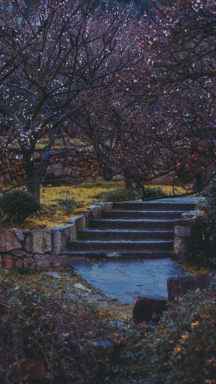 3. 分析构图技巧