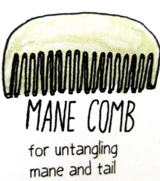 梳刷,刷拭  curry combremoves  dried sweat and mud from body.