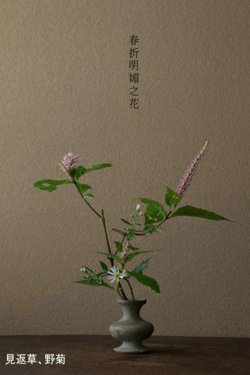 陈枝春说, 这首诗来源于《荆州记》的记载: 陆凯与范晔交