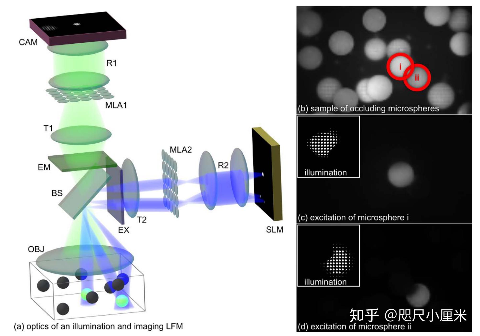 [论文笔记] Light-Field Microscopy: A Review - 知乎
