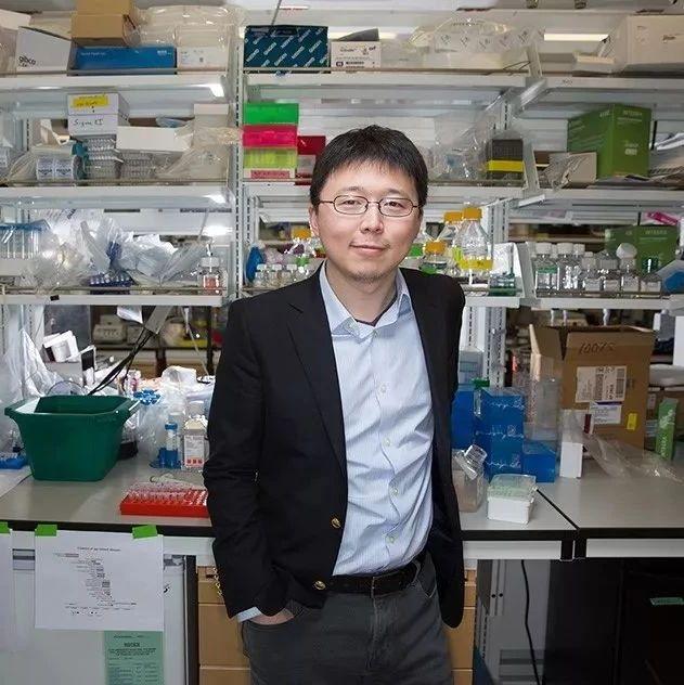 张锋等6位华人当选美国科学院院士，年仅36岁，成为两院院士 - 知乎