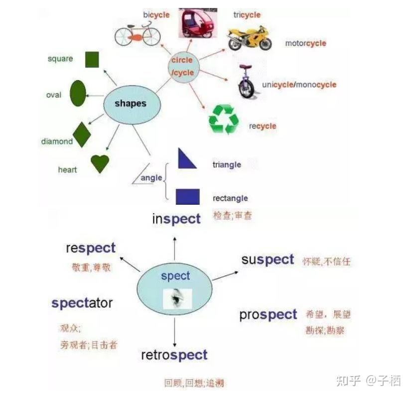 但是我學到的方法,是記憶單詞時從詞根,詞綴上去了解它.