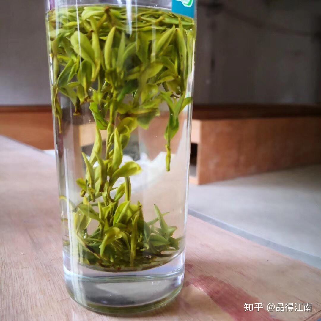 茶葉的第一泡水髒嗎有必要倒掉嗎