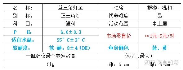 灯鱼混养 短鲷_哪些短鲷能和灯鱼混养_短鲷 灯鱼