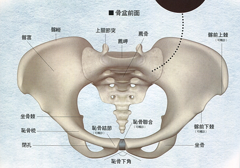 v2-c60dd3fadd9f9f93436d85459f210525_r.png