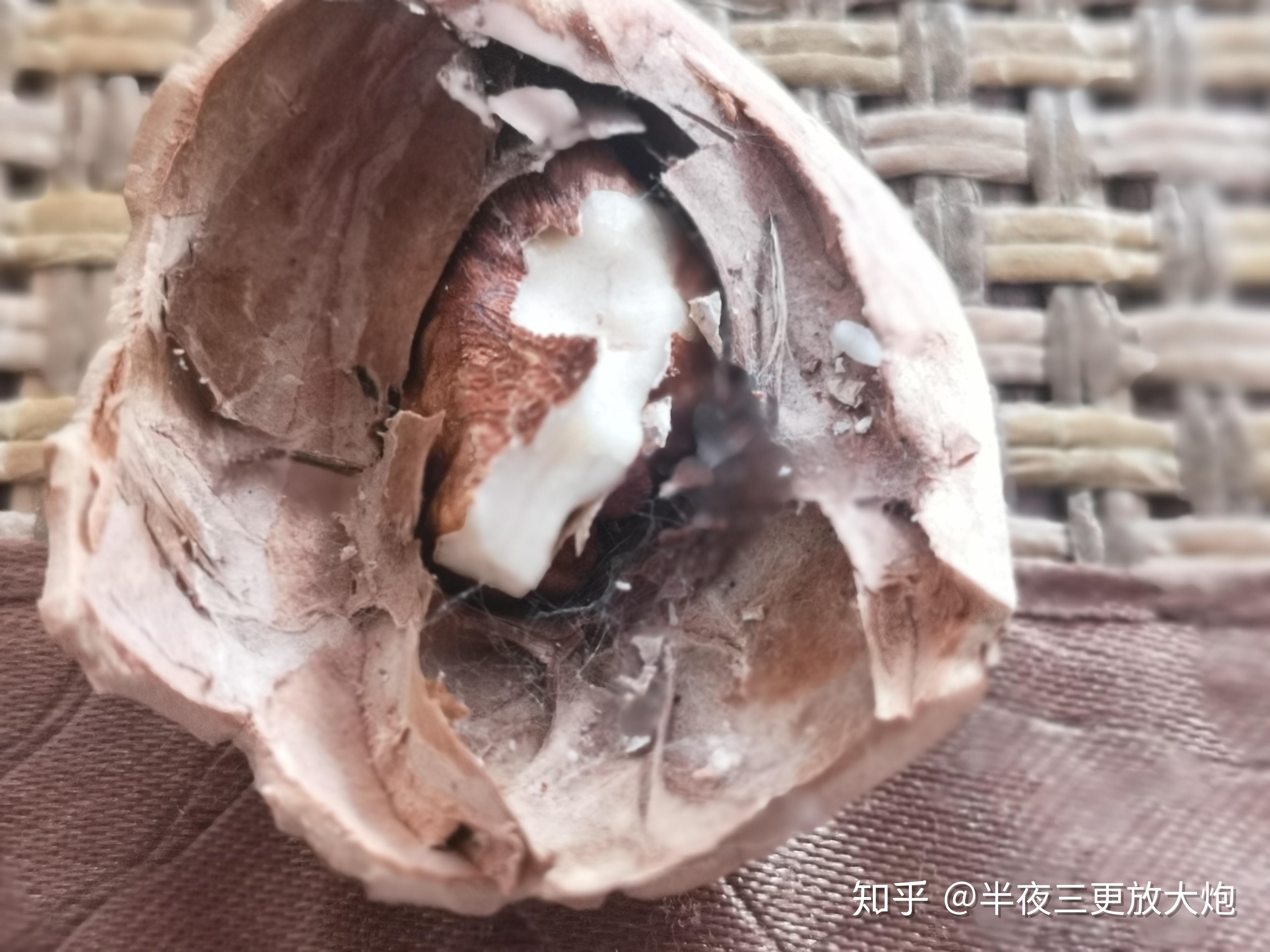 核桃里面这种白毛是什么发霉了吗能吃么