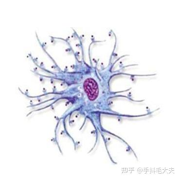 如果你是一个细胞,所在人体接种了新冠疫苗,你会面临怎样的命运? 7 v2 c6151ec08b1a12f66facac443a74bfc5 720w