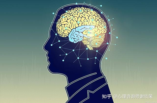 双相情感障碍如何影响大脑?对记忆力有何影响? - 知乎