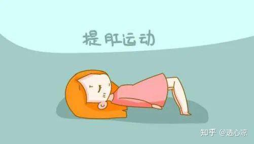 教你如何做提肛运动 - 知乎