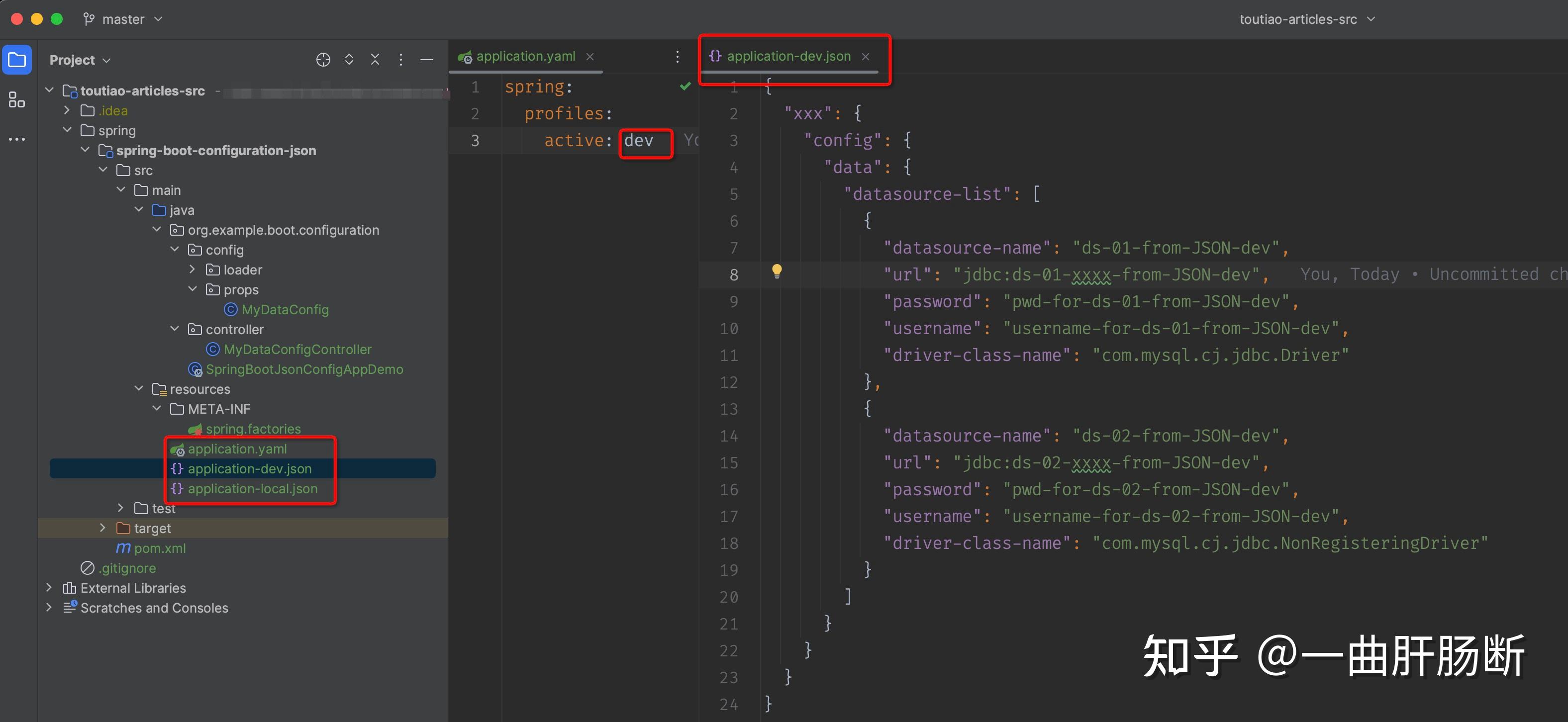 springboot-application-json