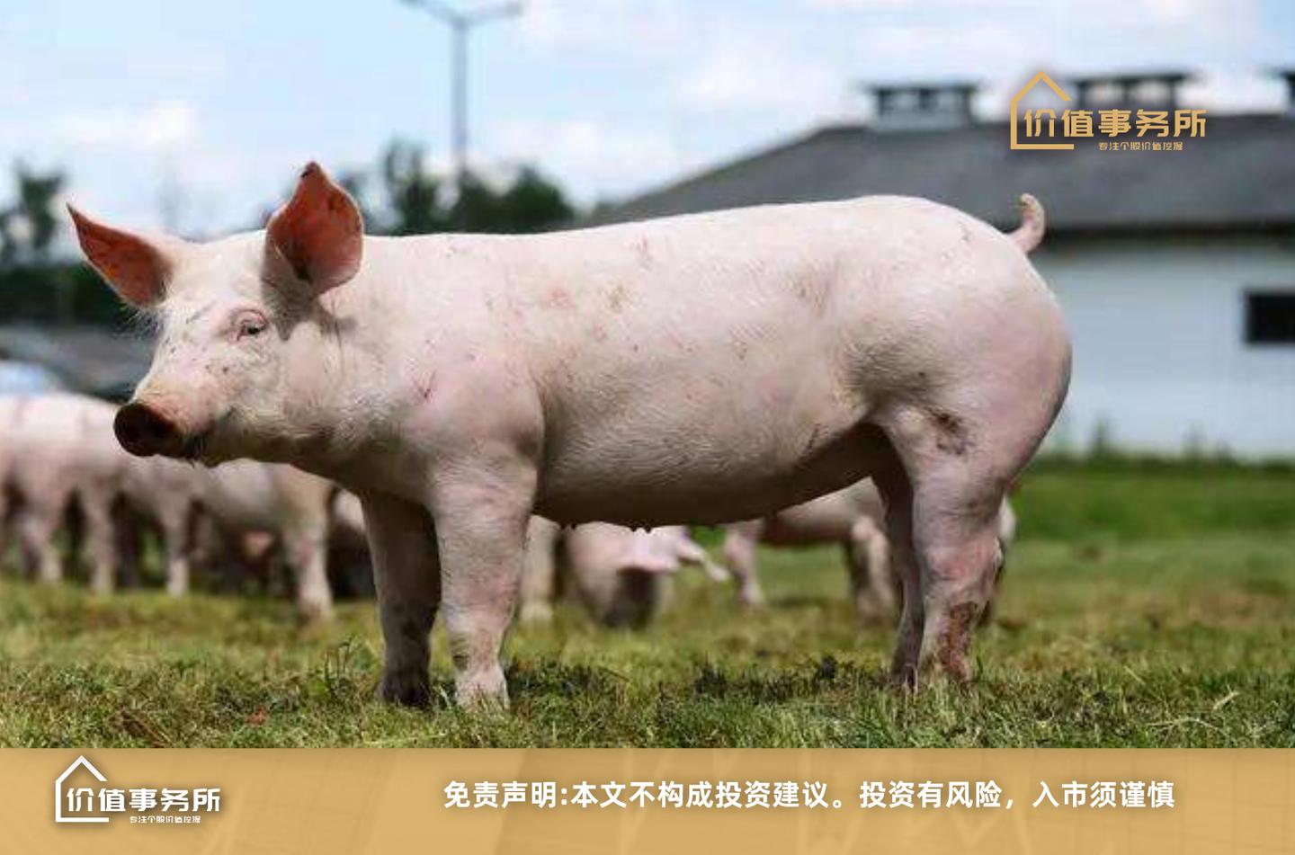 第226篇 养猪才是真正的科技股 牧原股份凭什么成为市值最大的养猪股 至少还有3至5倍的空间 知乎 第226篇 养猪才是真正的科技股 牧原股份凭什么成为市值最大的养猪股 至少还有3至5倍的空间 知乎