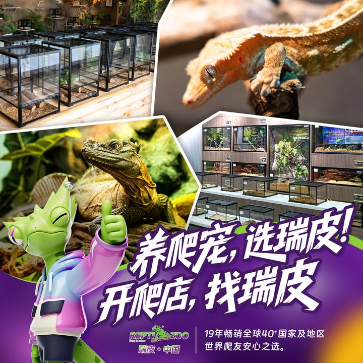 中国爬宠品牌出海高光,瑞皮(REPTIZOO)摘得2025俄罗斯年度金奖 - 知乎