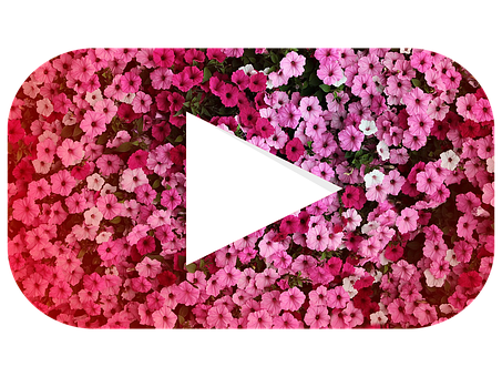 4. 绿化环境优美