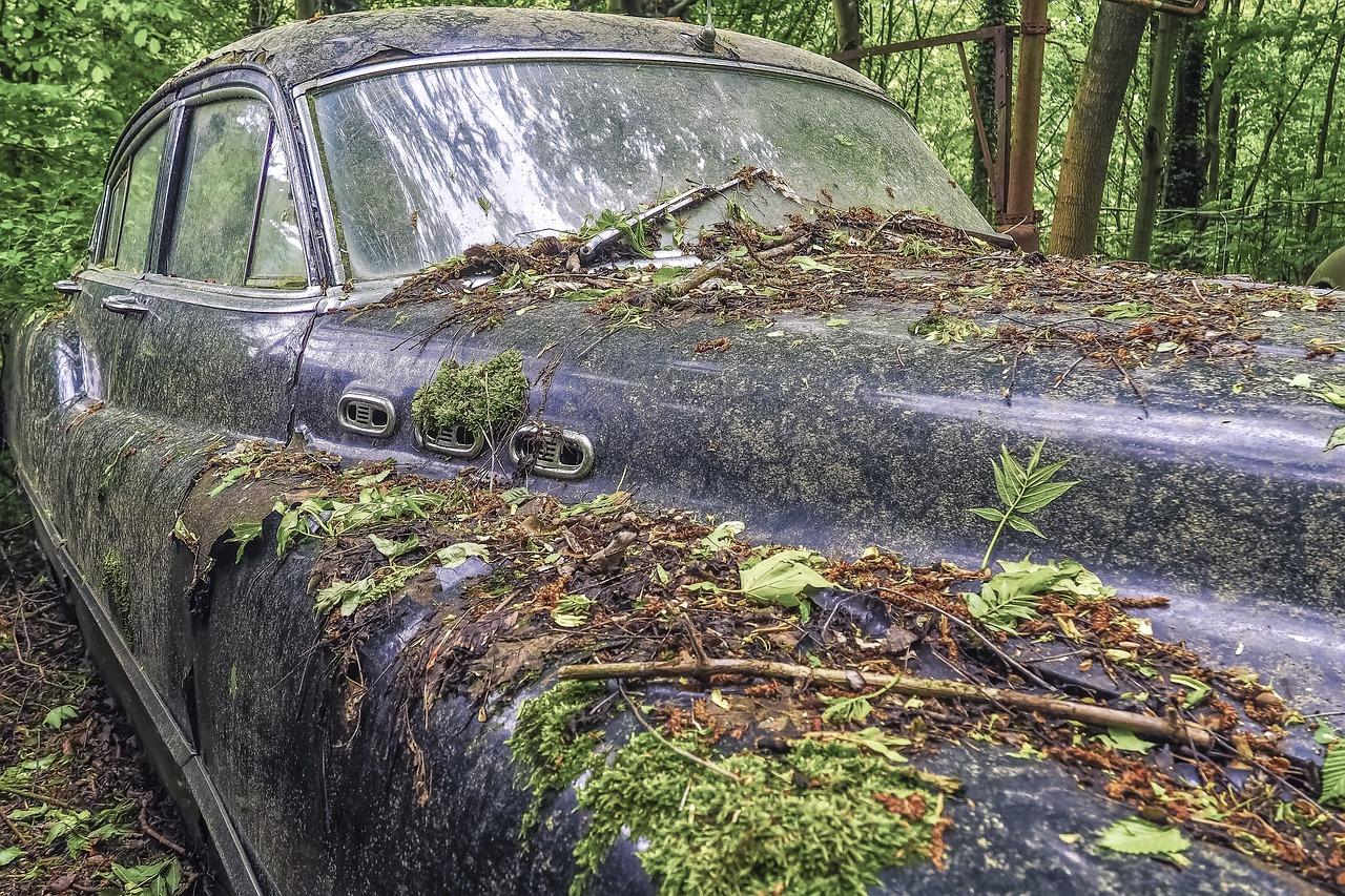 2. 袁寨墓地位置