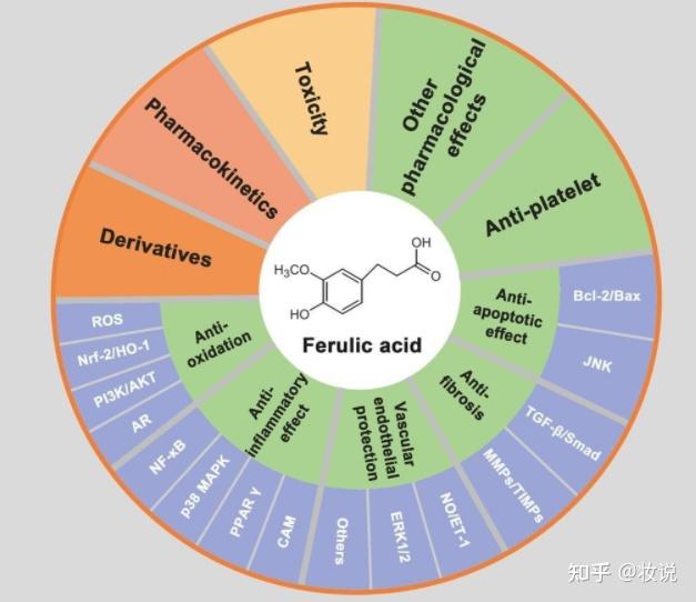 阿魏酸结构图片