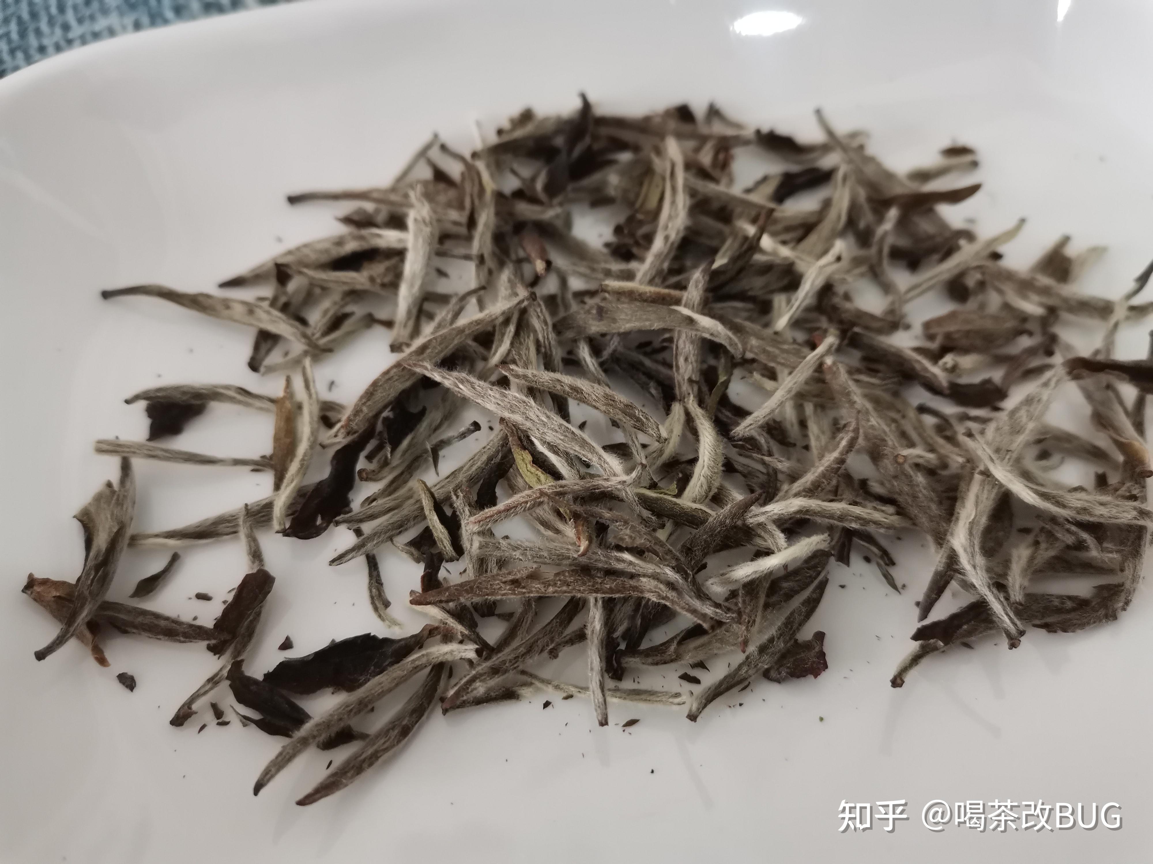 品品香简语2020年特级白毫银针测评,看看品质口感怎么样