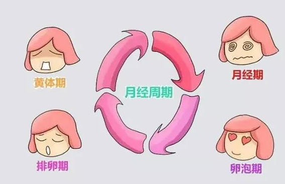 试管婴儿当月移植时间是例假的什么时间(做试管婴儿当月可以移植吗)-第1张图片-鲸幼网