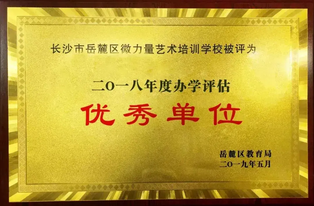 长沙市岳麓区教育局评估结果通报文件10年来,微力量坚持依法办学,依规