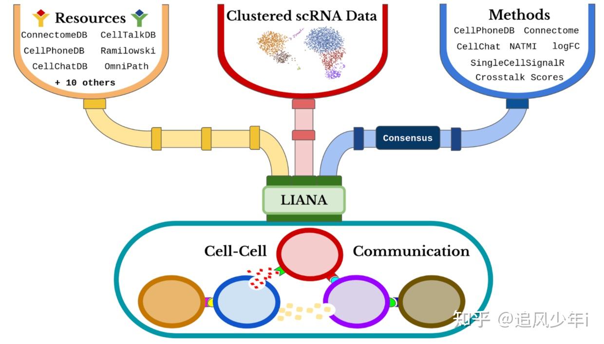 10X单细胞10X空间转录组细胞通讯分析联合大全 知乎