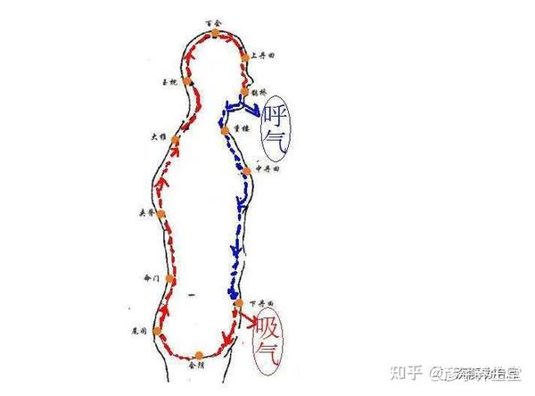 大小周天运行图及解释打通大周天最简单的方法- 知乎