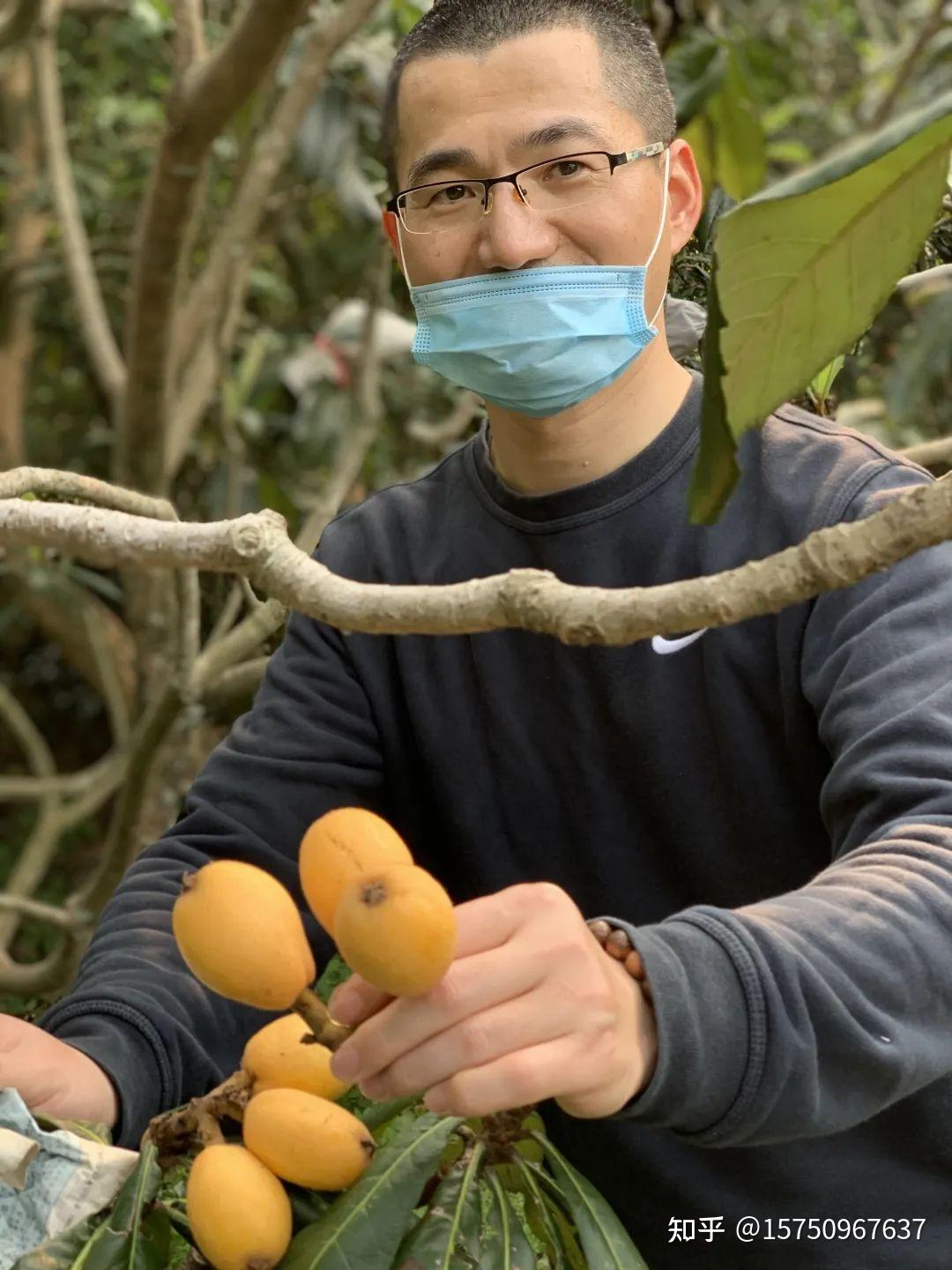 萩芦枇杷遇见彼此春天的好果邱盛记实