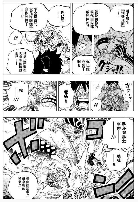 如何看待海贼王1006话情报