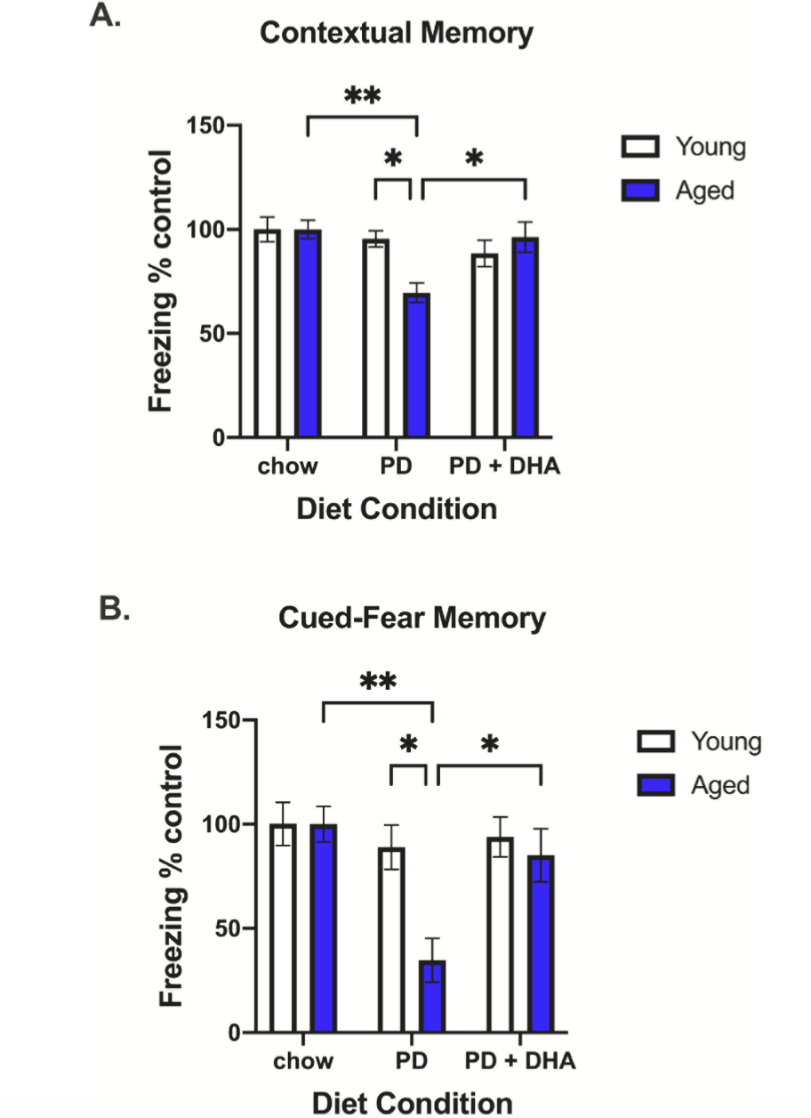 不能被忽视的提高记忆力，DHA是真有用（dha真的可以促进孩子增强记忆力吗）