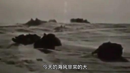 图巴的老婆为什么要给已经死了的海豹喂雪水这是感恩每一个生命