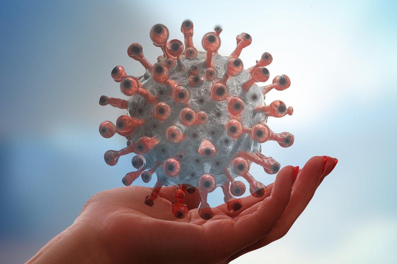 活性炭怎么鉴别