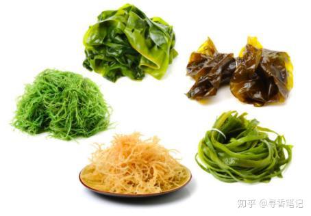 盛夏养生哪些食物可以提高肠道健康和免疫力