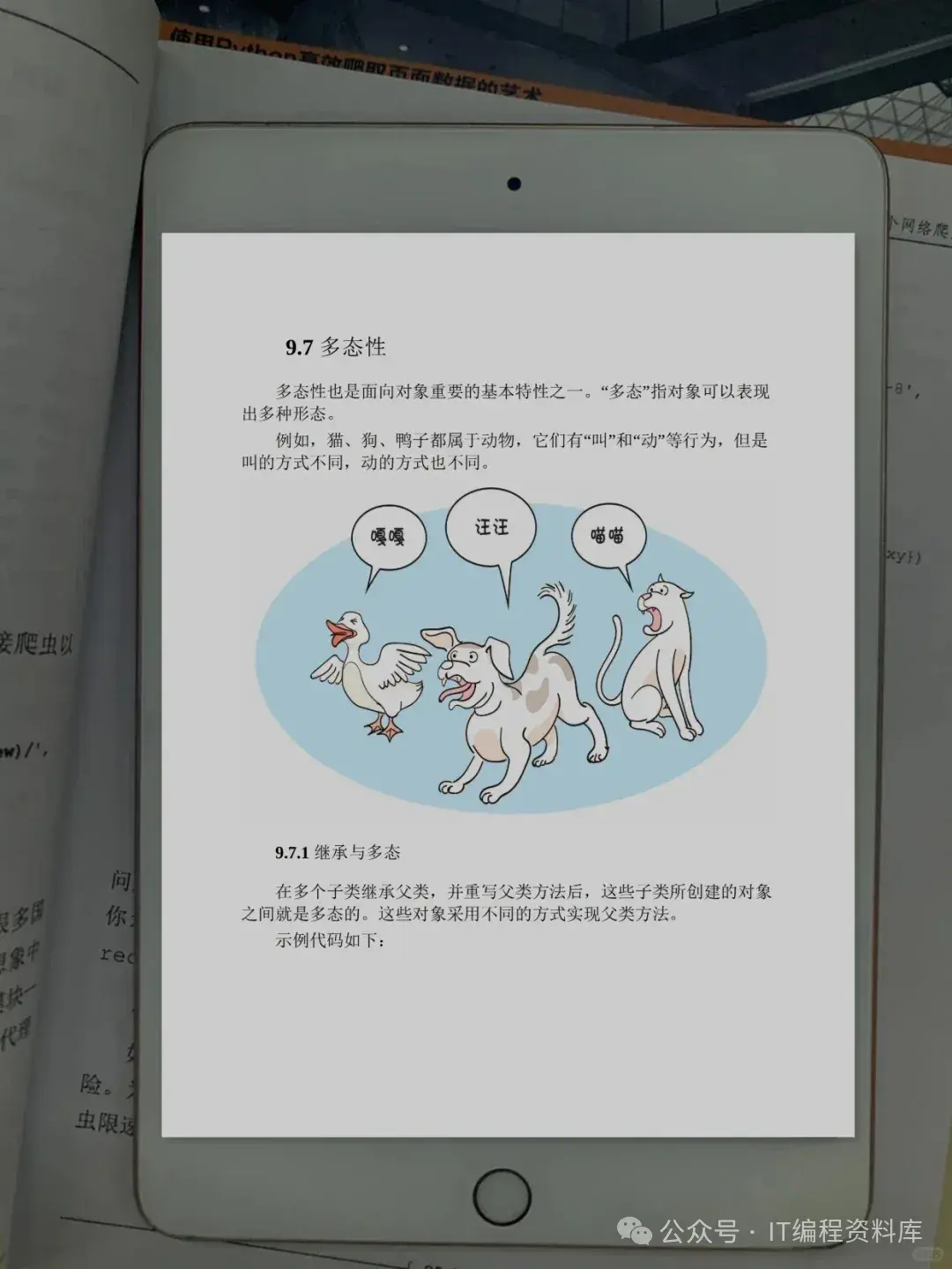 惊叹！居然把Python整理成漫画书了！高效掌握Python精髓！ - 知乎