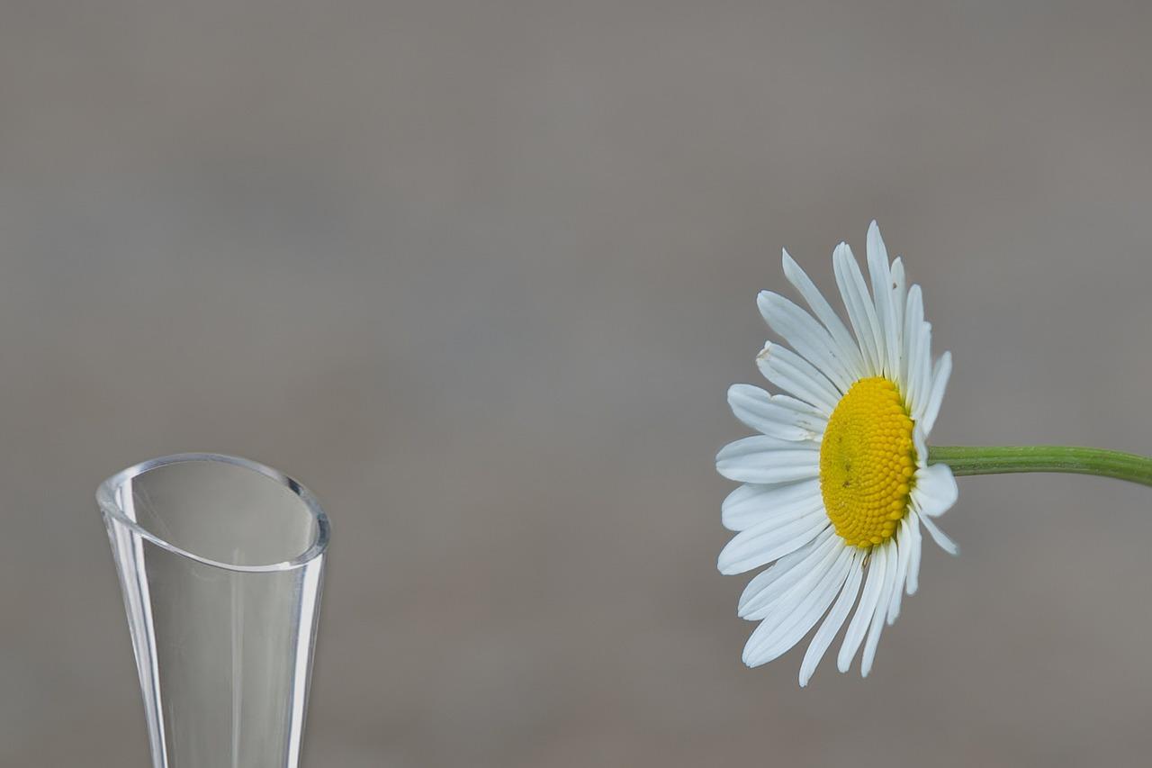 3. 花瓶折旧教程