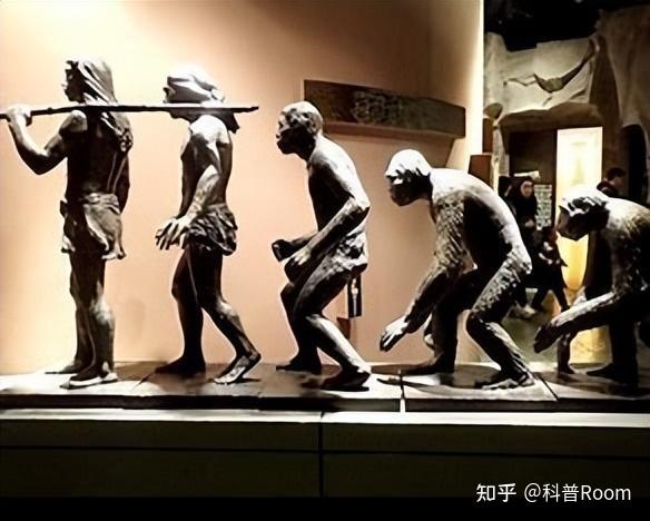 人类发展的历史考古学:古人类生活的重构 - 知乎