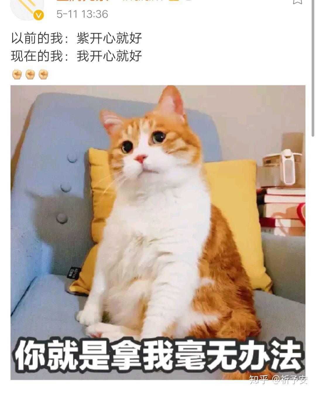 v2-c684ff7ad0c4e49bc4a850f730f06284_r.jpg