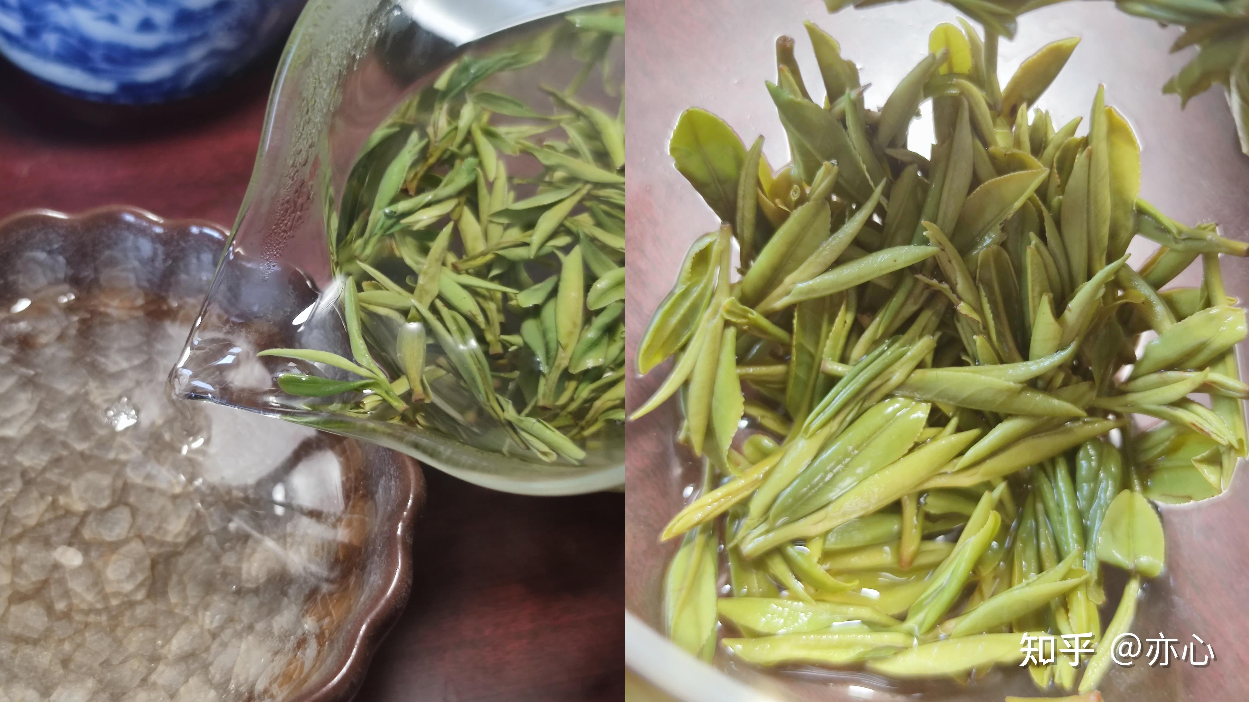 【绿茶】阿中家 桐城小花（明前、雨前、谷雨）测评（20230519） - 知乎