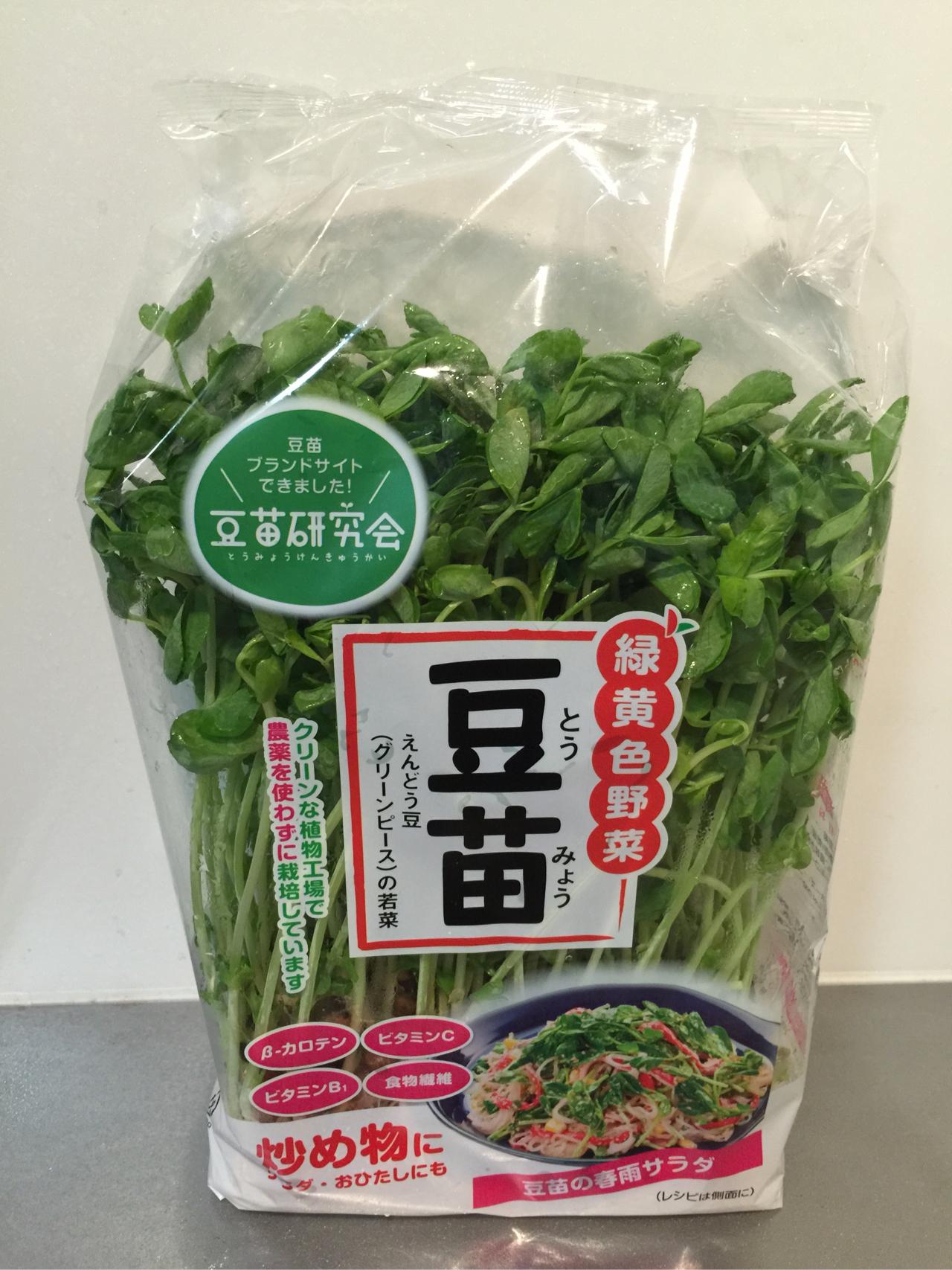 在日本自己种豌豆尖 知乎 在日本自己种豌豆尖 知乎