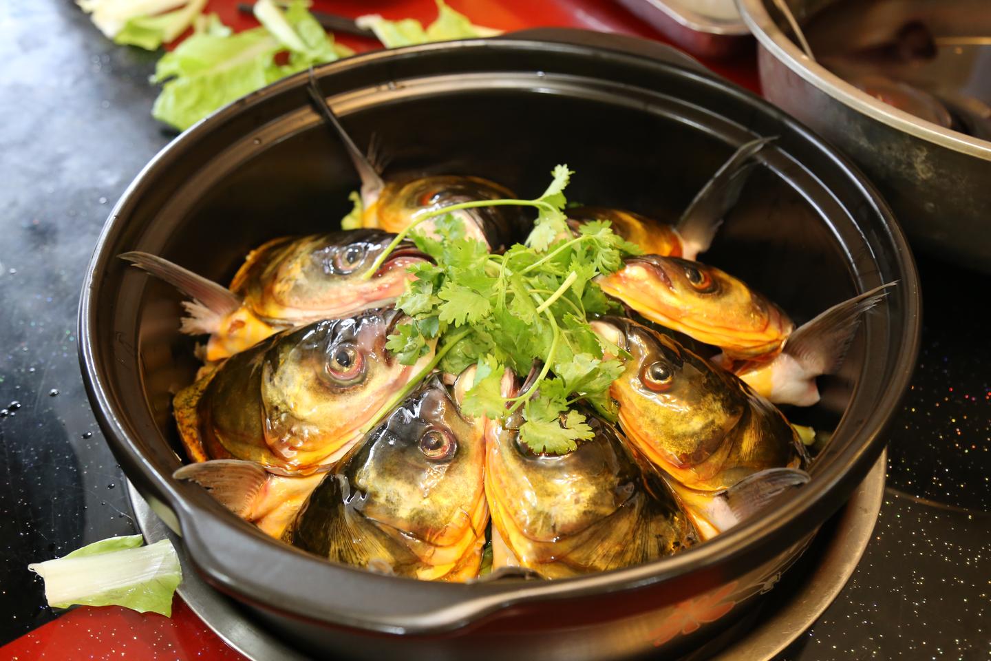 七味鱼头创始人刘东杰:推陈出新让品牌富有生命力