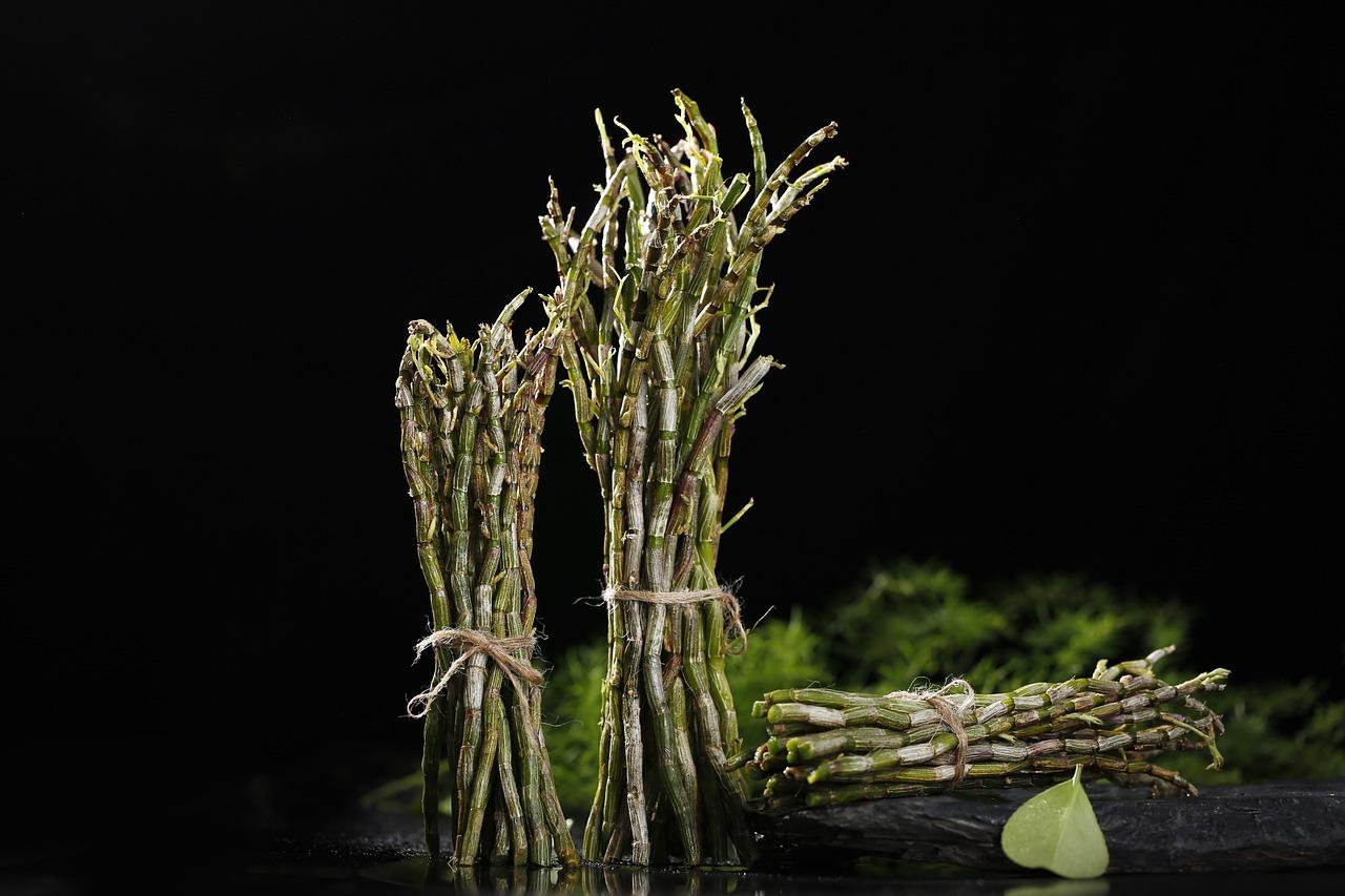 家里怎么种植石斛