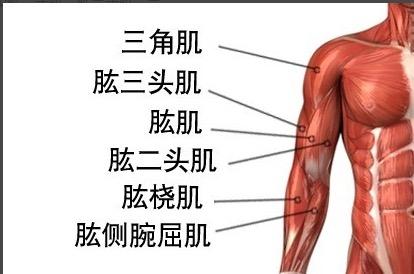 v2-c6ad9cfa7eee111b1e484af6fb74a698_b.jpg