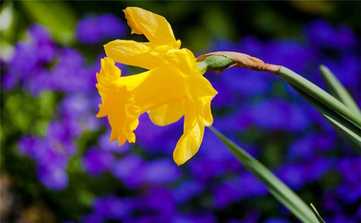 小知识:小月份流产要坐月子吗,90的女性都不知道 知乎