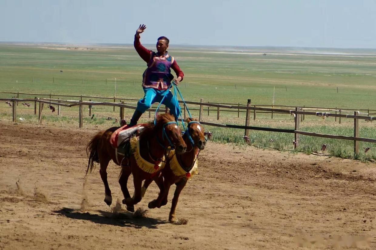 2019巴尔虎蒙古部落民俗旅游度假景区-旅游攻略-门票-地址-问答-游记点评，呼伦贝尔旅游旅游景点推荐-去哪儿攻略