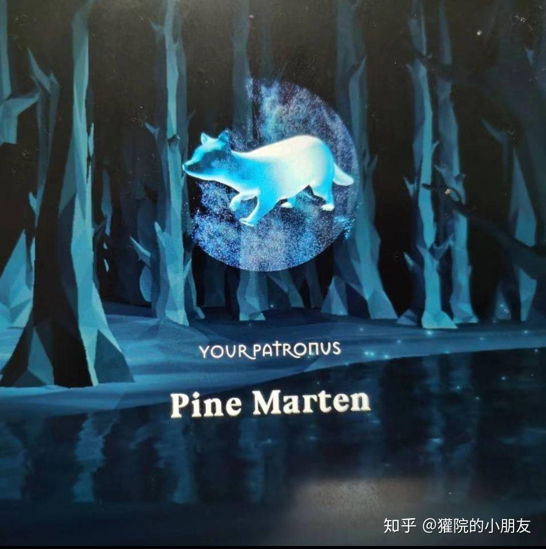 哈迷们你们在pottermore测试的分院帽结果是什么